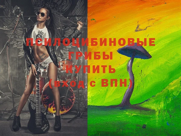 винт Алзамай