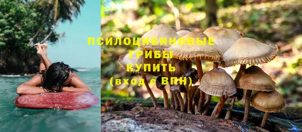 винт Алзамай